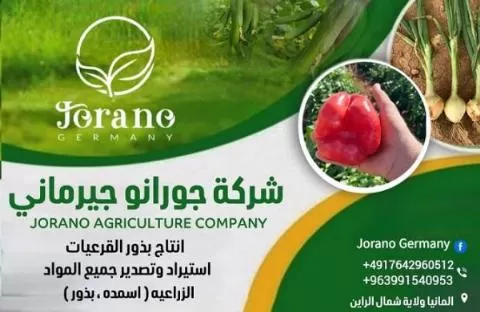 Giorano Germany Company