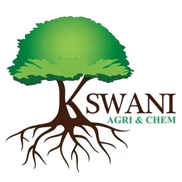 كسواني إخوان 